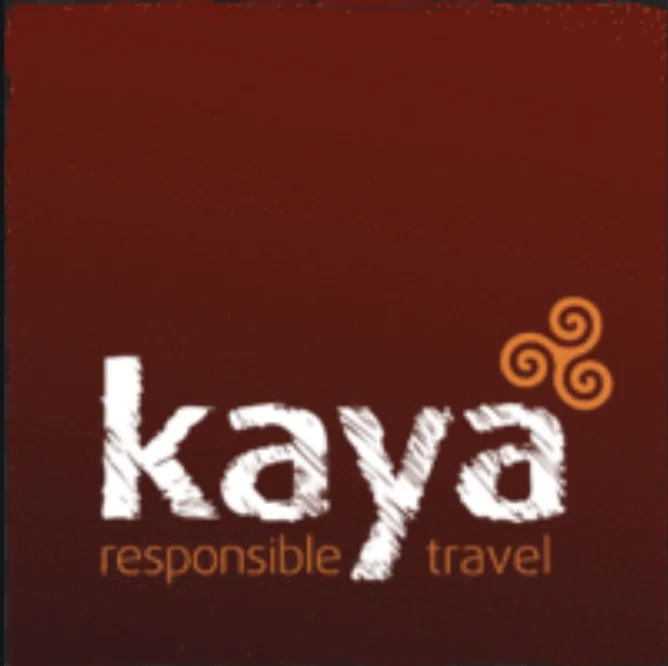 Kaya Gap Year: Wildlife Conservation in Ecuador logo